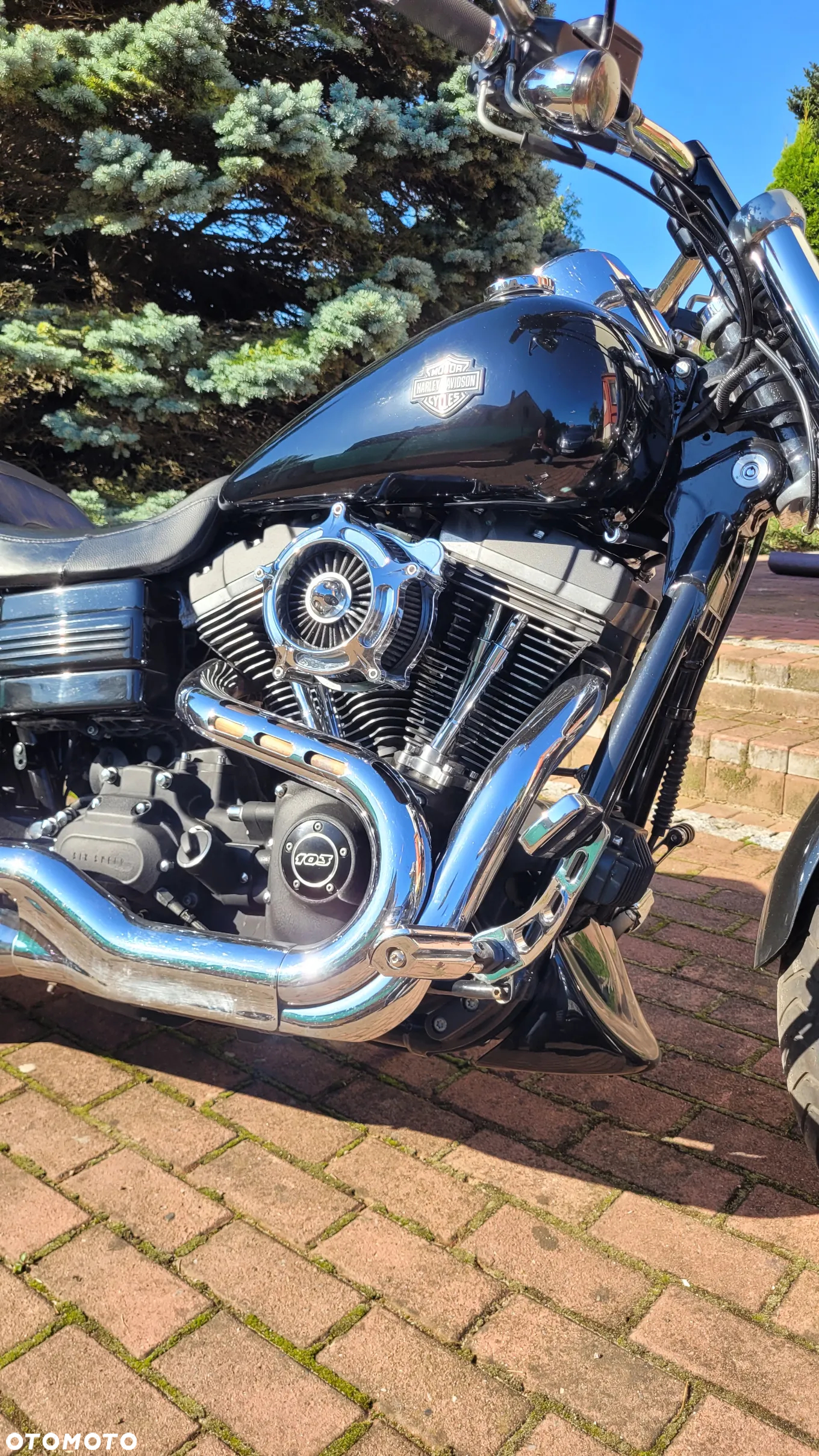 Harley-Davidson Dyna Fat Bob - 6