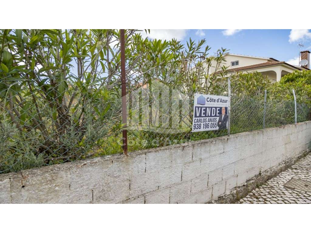 TERRENO QUINTA CONDE - Grande imagem: 5/15