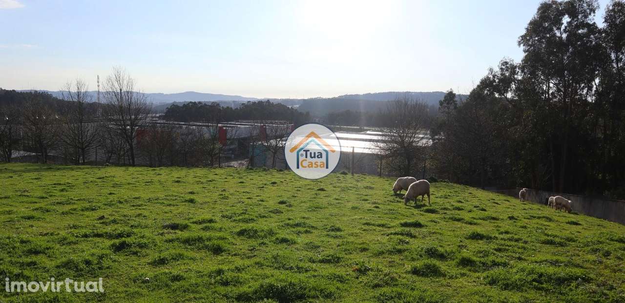 Terreno em Calendário com Viabilidade de Construção - Grande imagem: 3/16