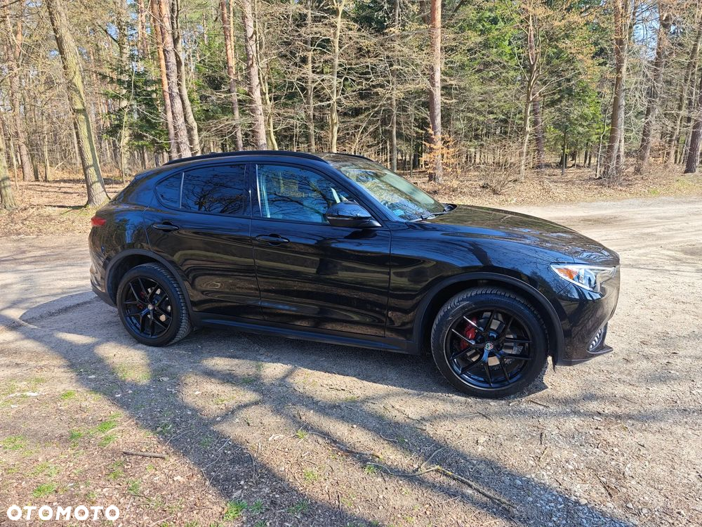 Alfa Romeo Stelvio 2.0 Turbo First Edition Q4 - 4