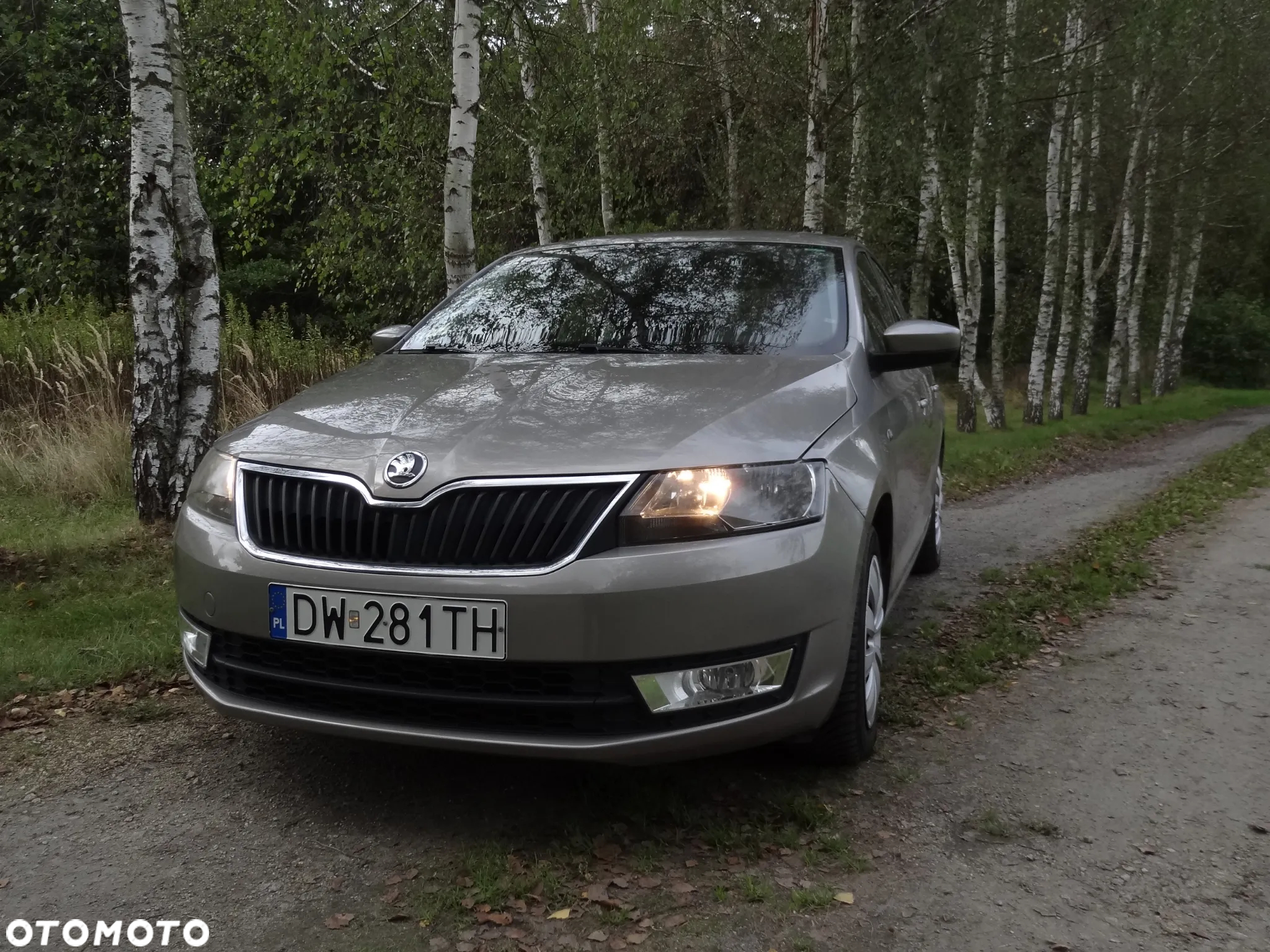 Skoda RAPID 1.2 TSI Active - 16