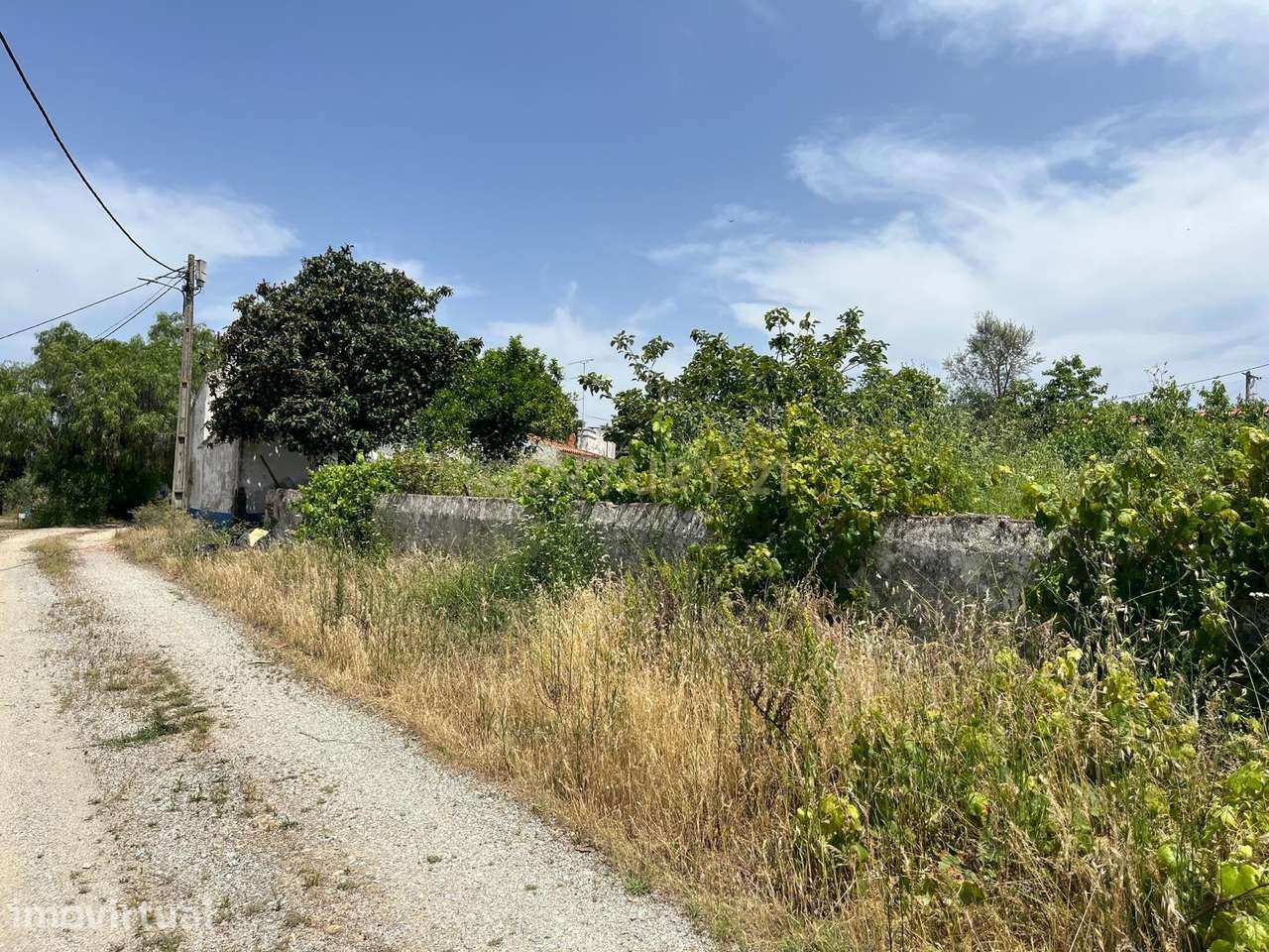 Casa Antiga em Montemor o Novo com Vista Campestre - Grande imagem: 4/13