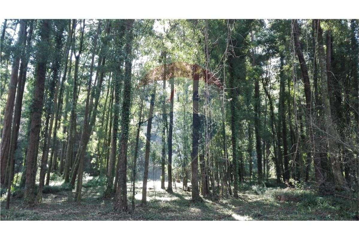 Terreno T0 para venda - Grande imagem: 4/6