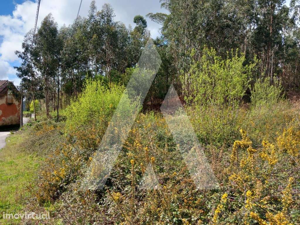 Terreno para construção em Cesar, Oliveira de Azemeis - Grande imagem: 2/13