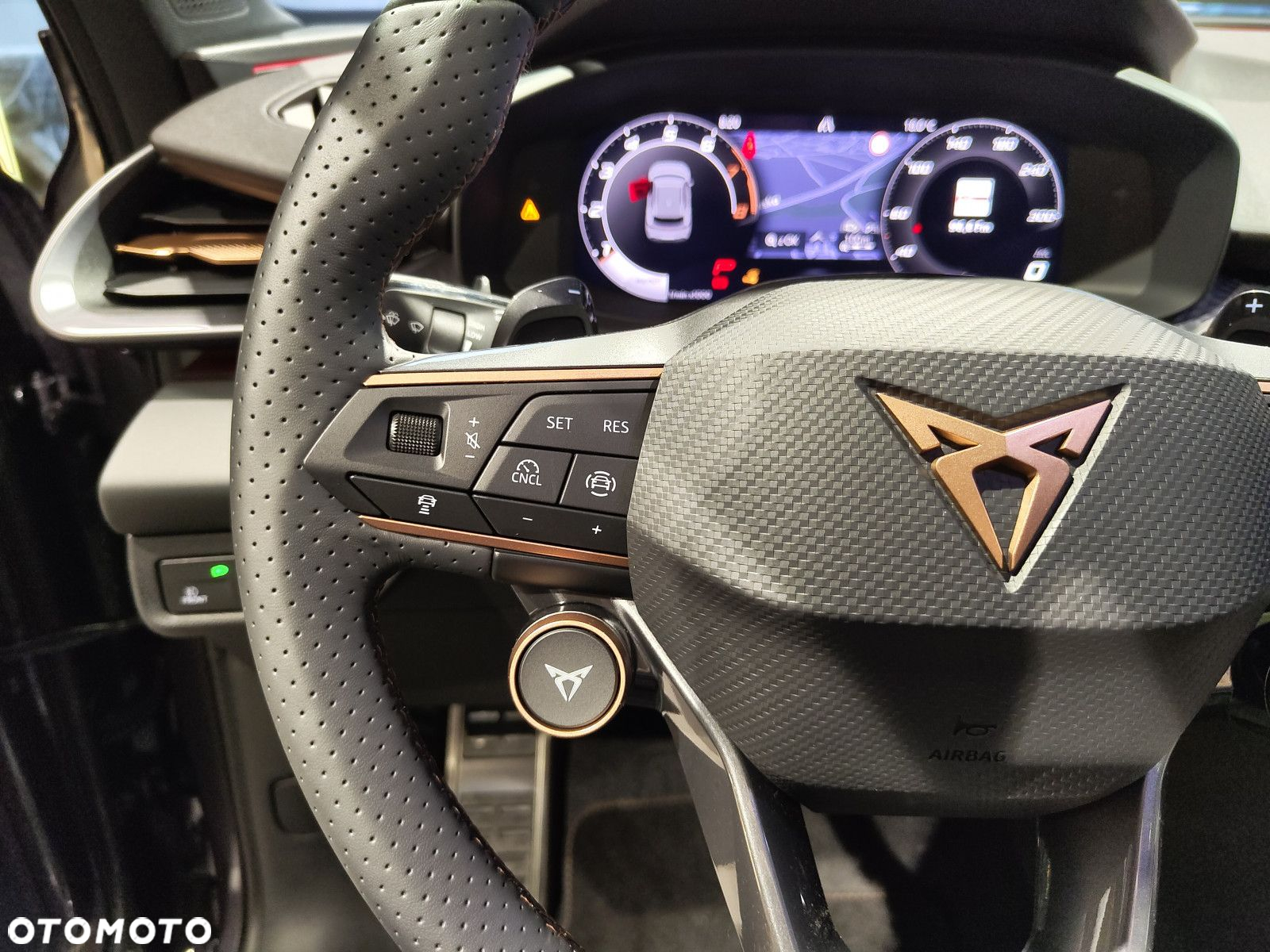 Cupra Terramar - 14