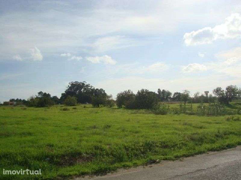 Terreno Rústico com 59.800 m2 - SAMOUCO -MONTIJO - Grande imagem: 2/2