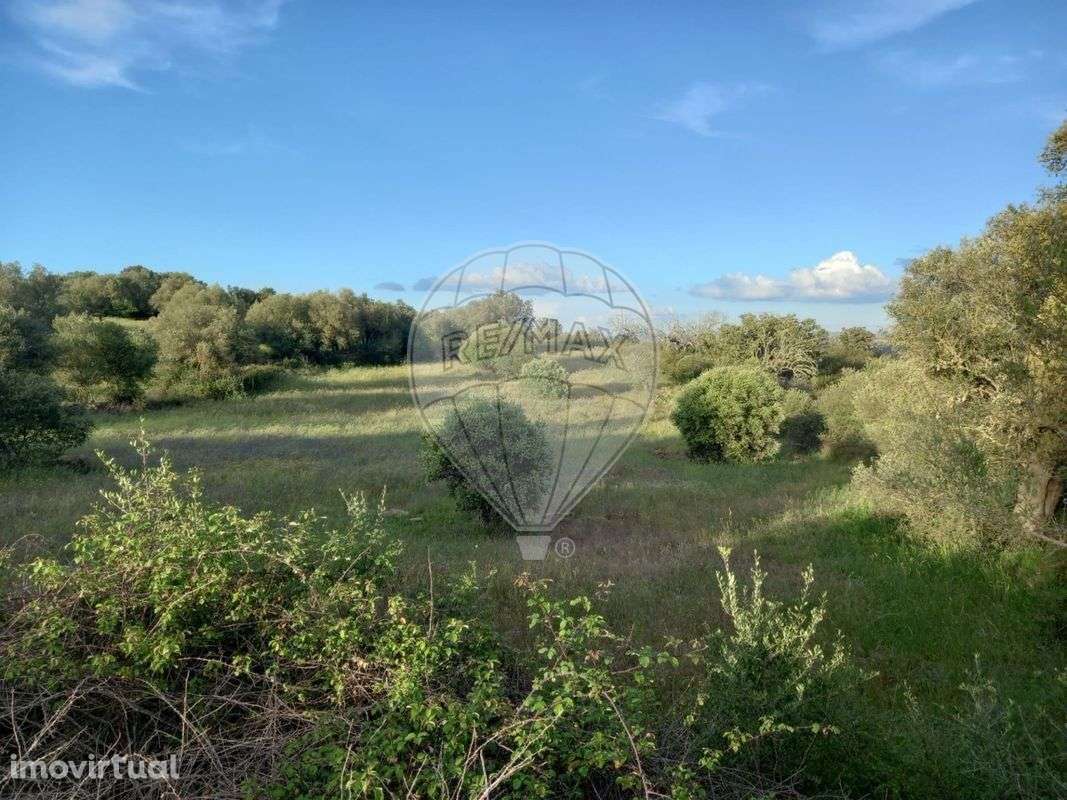 Terreno  para venda - Grande imagem: 3/7