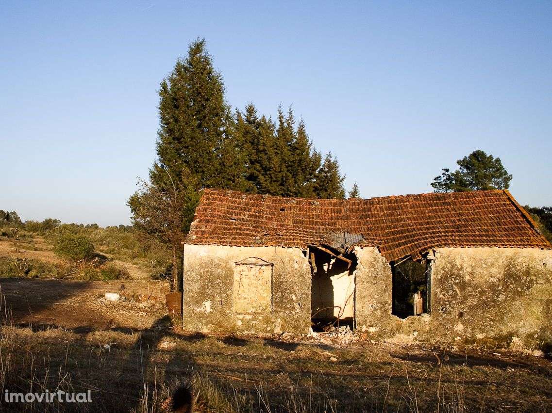 Quinta com 14.754 m2 para Reconstruir - Grande imagem: 4/19