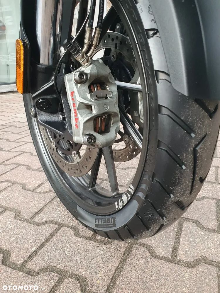 Triumph Tiger - 16