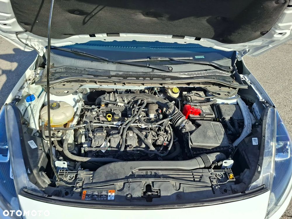 Ford Kuga 2.0 EcoBoost AWD ST-Line ASS - 19