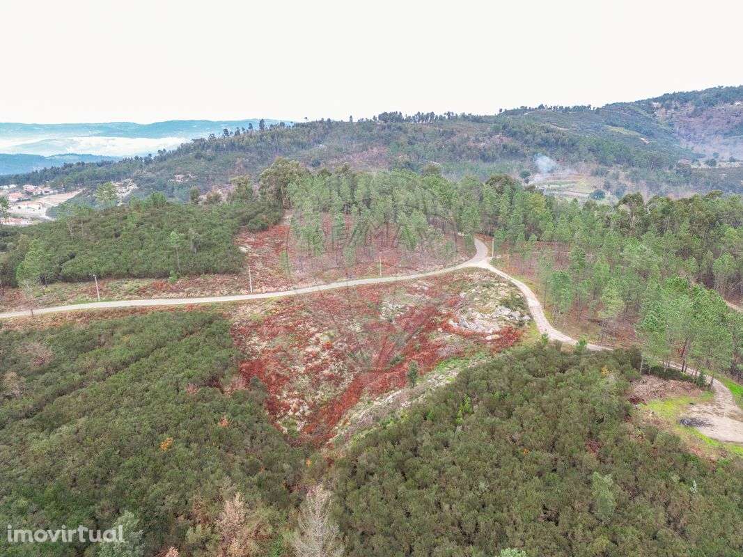 Terreno  para venda - Grande imagem: 4/6