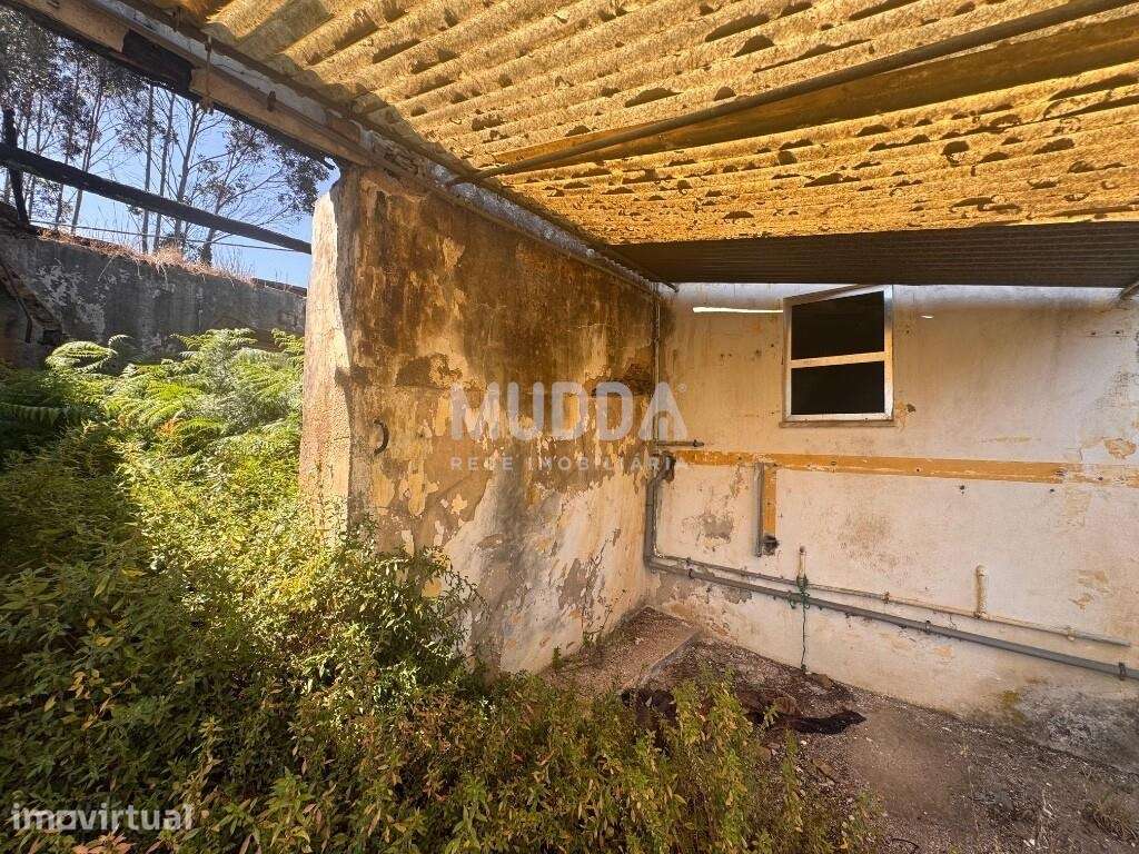 Moradia para Recuperar com Terrenos – São João de Ovar - Grande imagem: 5/12