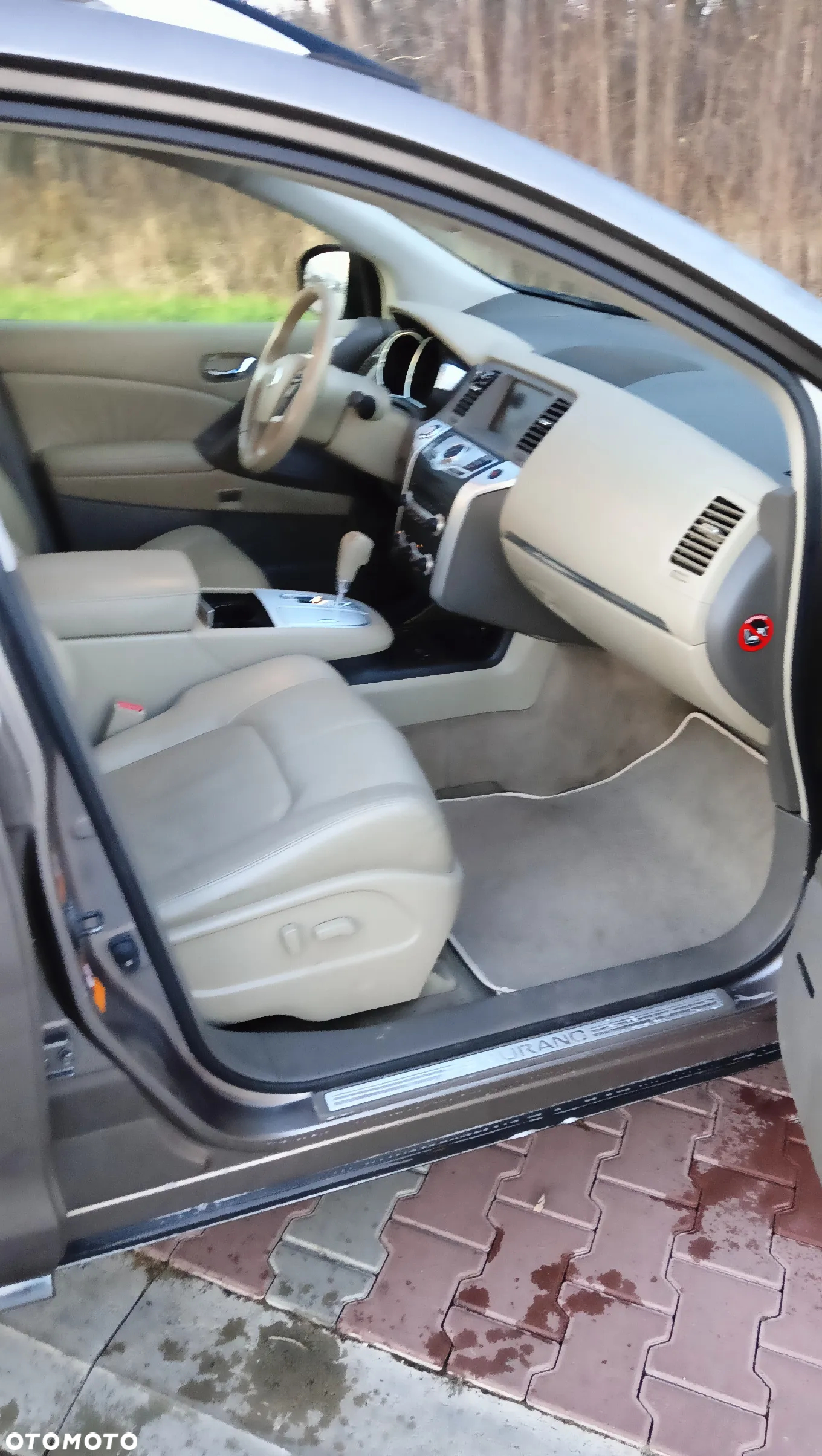 Nissan Murano 2.5 D Premium - 18