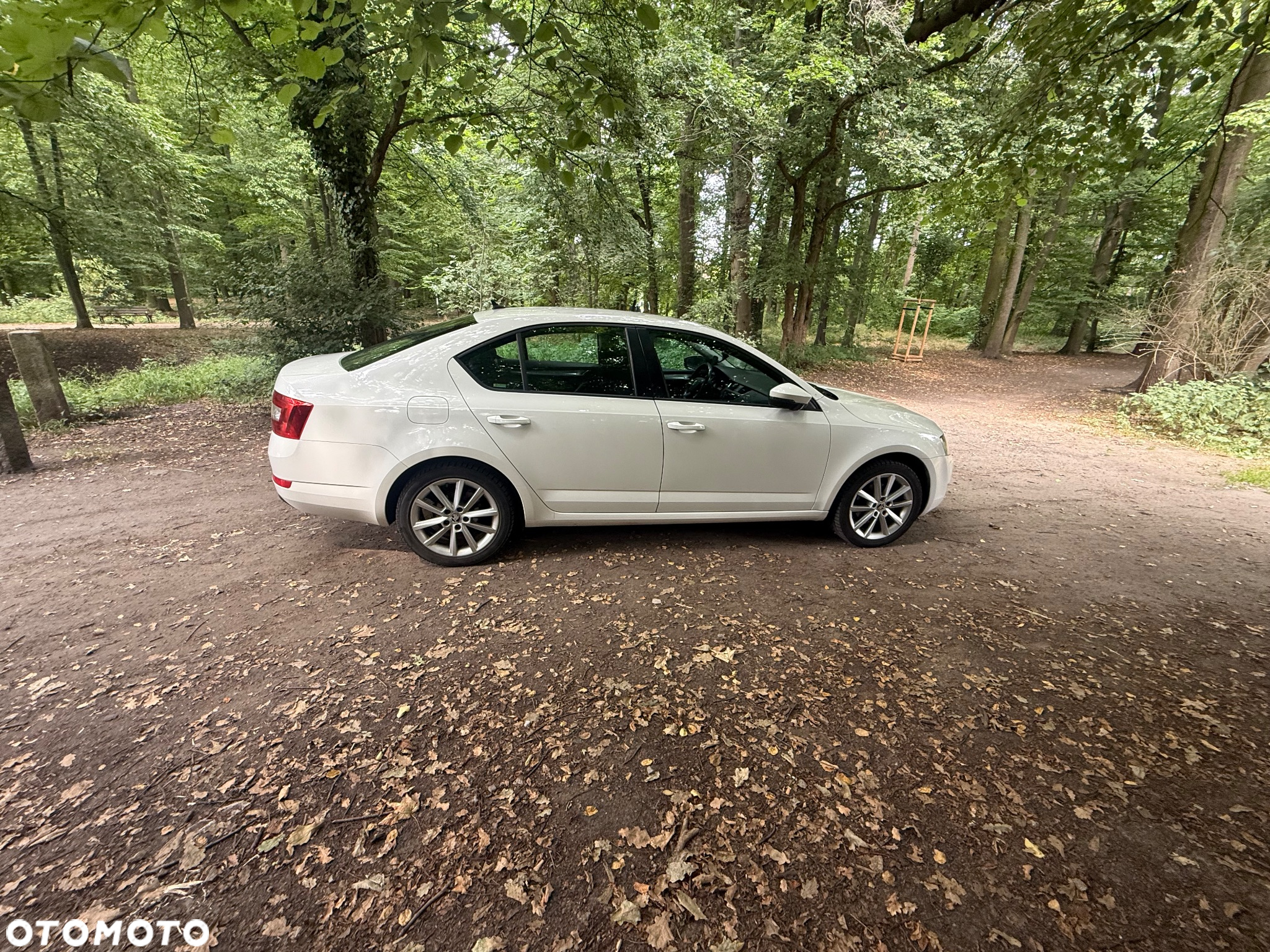 Skoda Octavia 2.0 TDI Elegance - 6