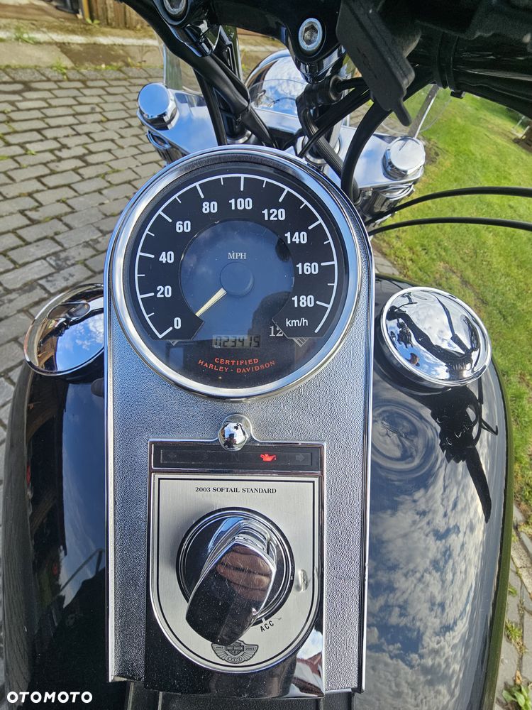 Harley-Davidson Softail - 5