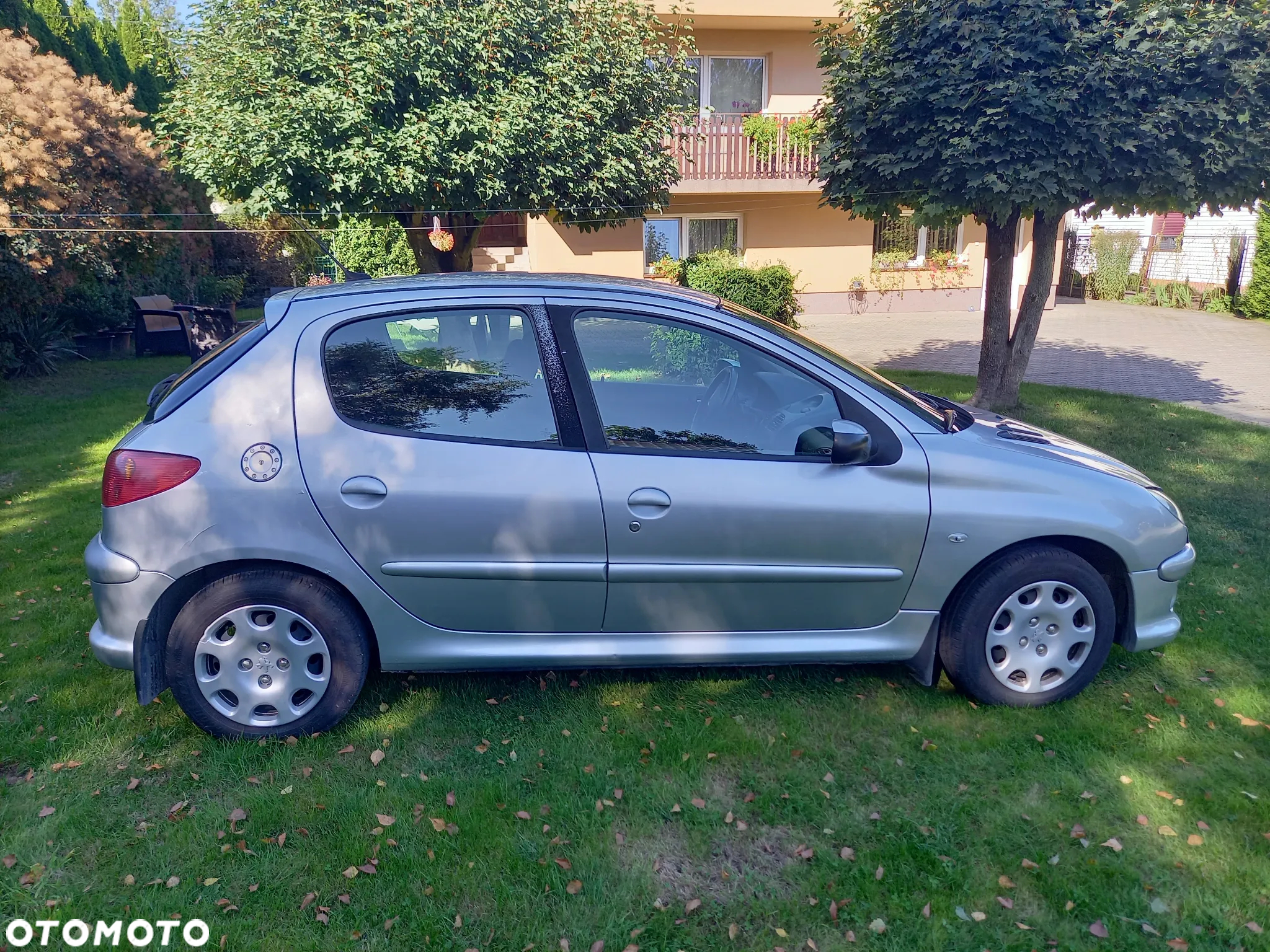 Peugeot 206 - 6