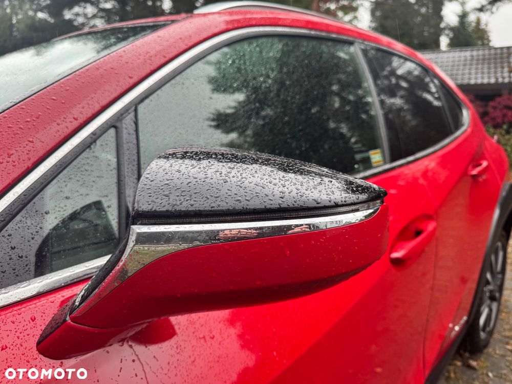 Lexus UX 250h GPF Business Edition 2WD - 21