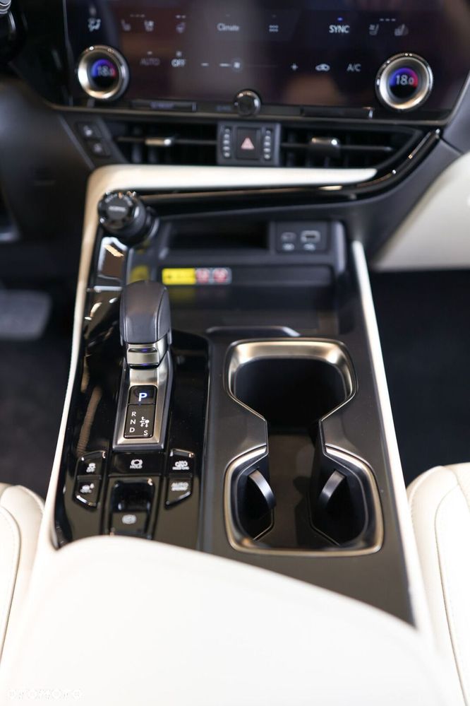 Lexus NX - 19