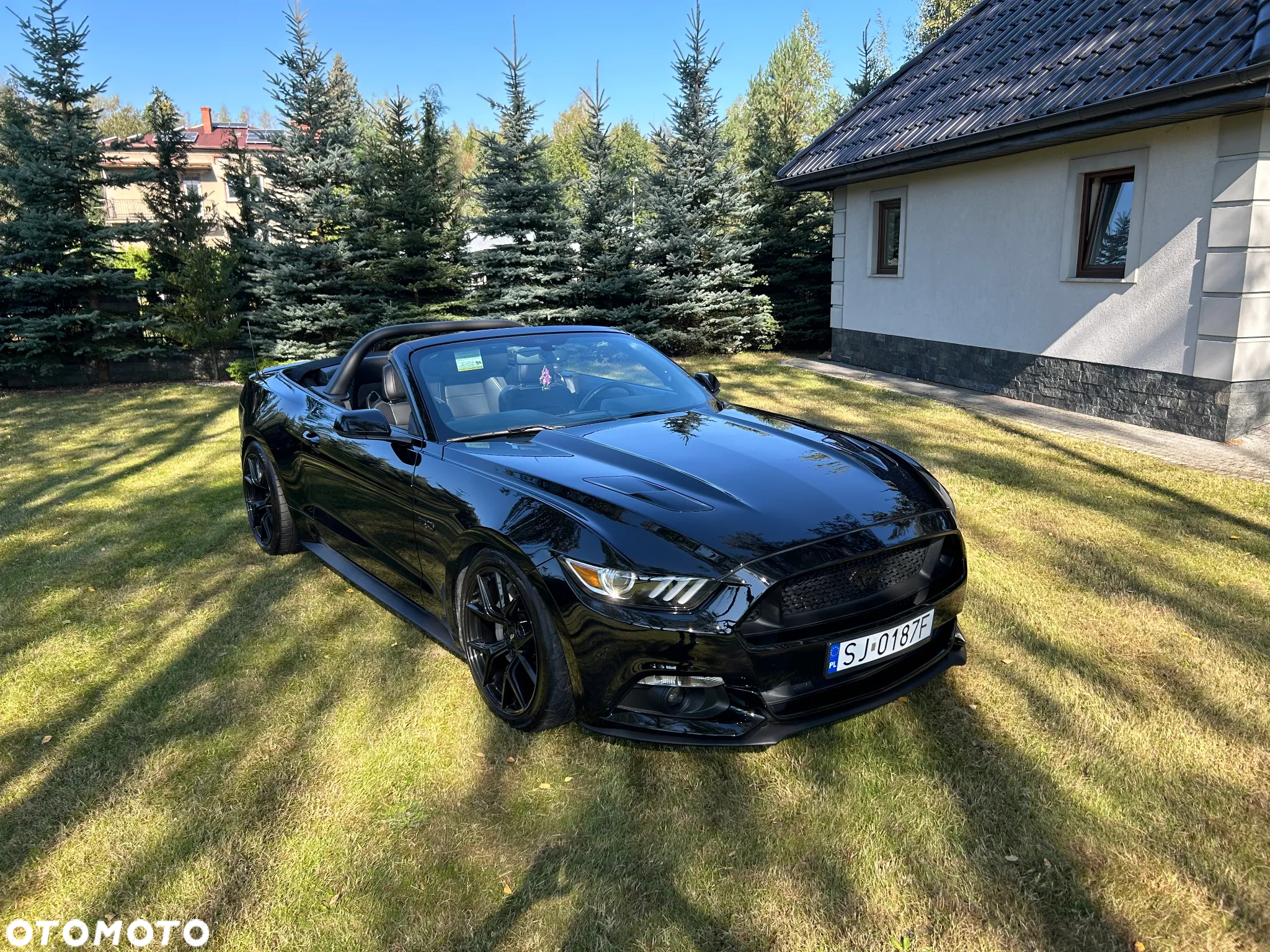 Ford Mustang - 12