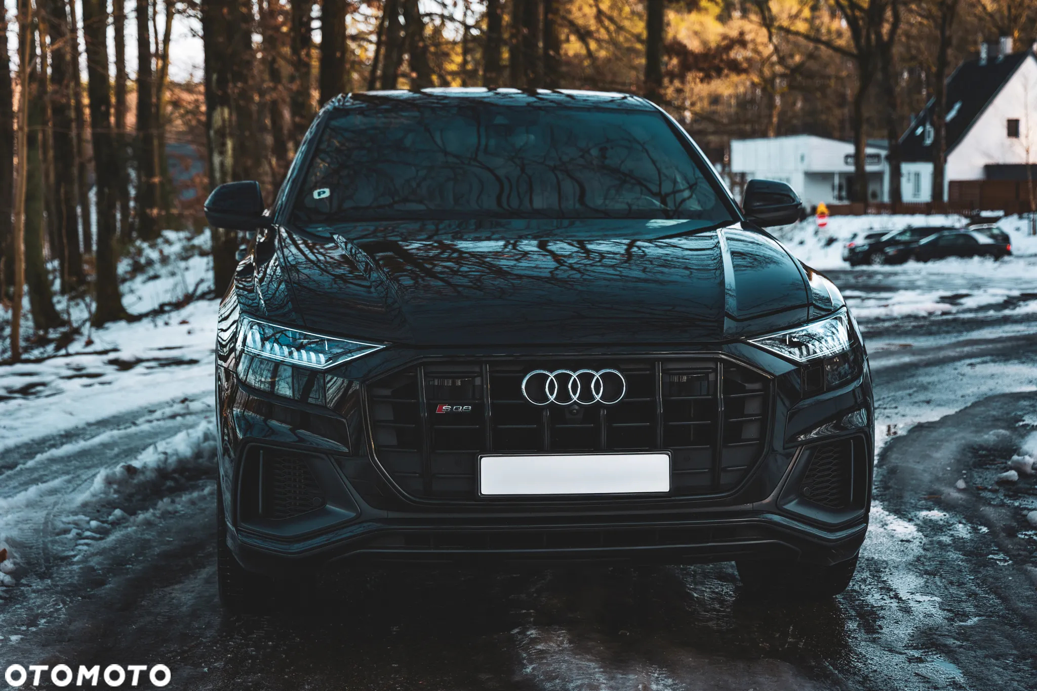 Audi SQ8 - 2