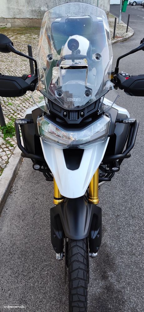 Triumph Tiger Rally Pro - 1