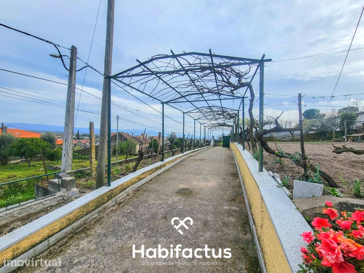 Moradia Isolada T3+2 inserida num Terreno Produtivo de 5.579 m2, á ven - Grande imagem: 5/60