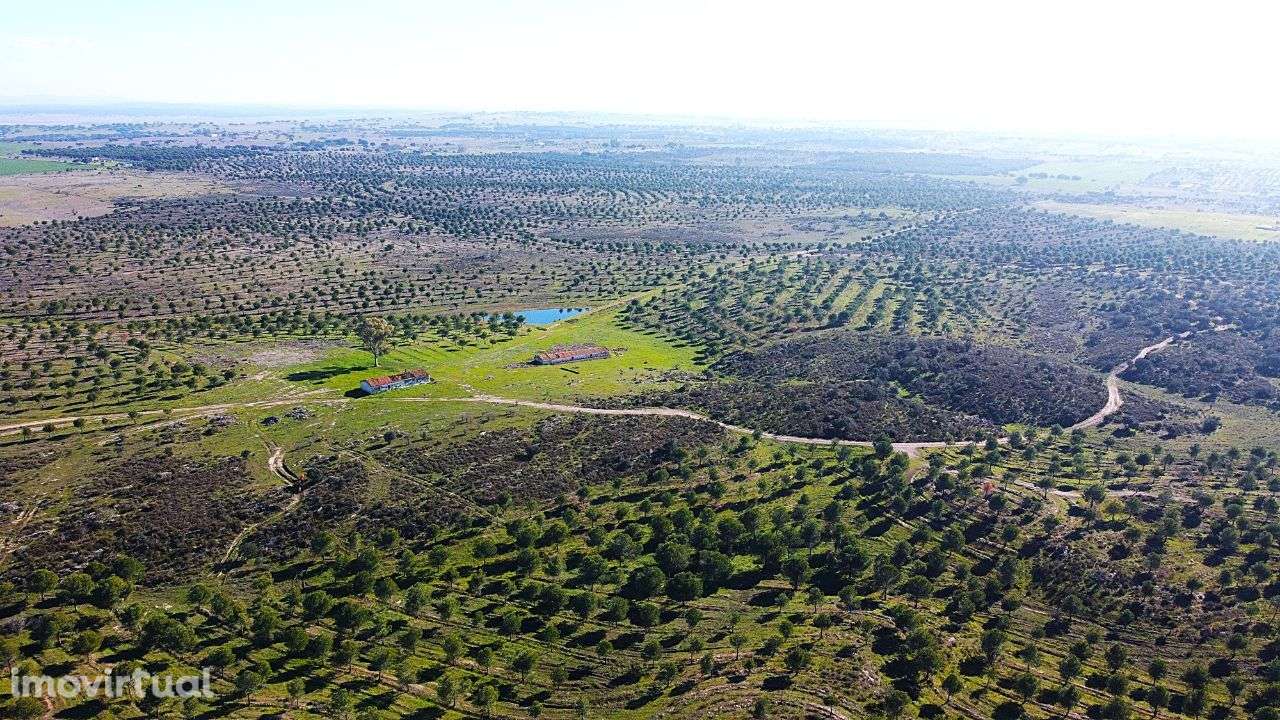 Herdade junto ao Lago de Alqueva - Mourão - Grande imagem: 3/15