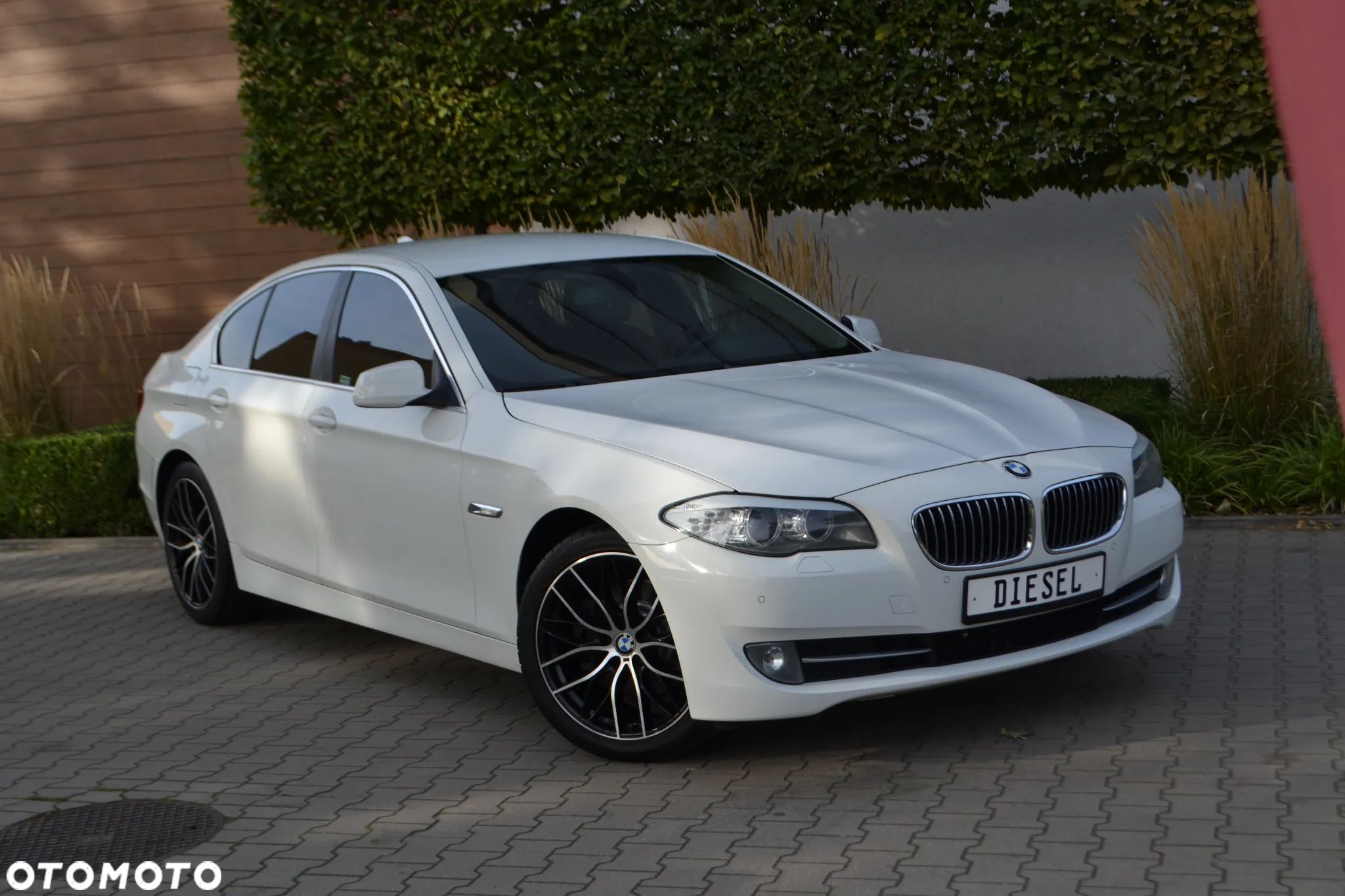 BMW Seria 5 - 1