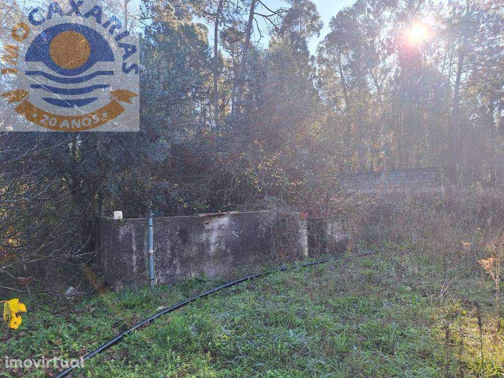 Moradia T3- Rio de Couros - Grande imagem: 5/27