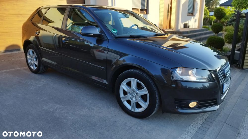 Audi A3 Sportback 1.6 Attraction - 5
