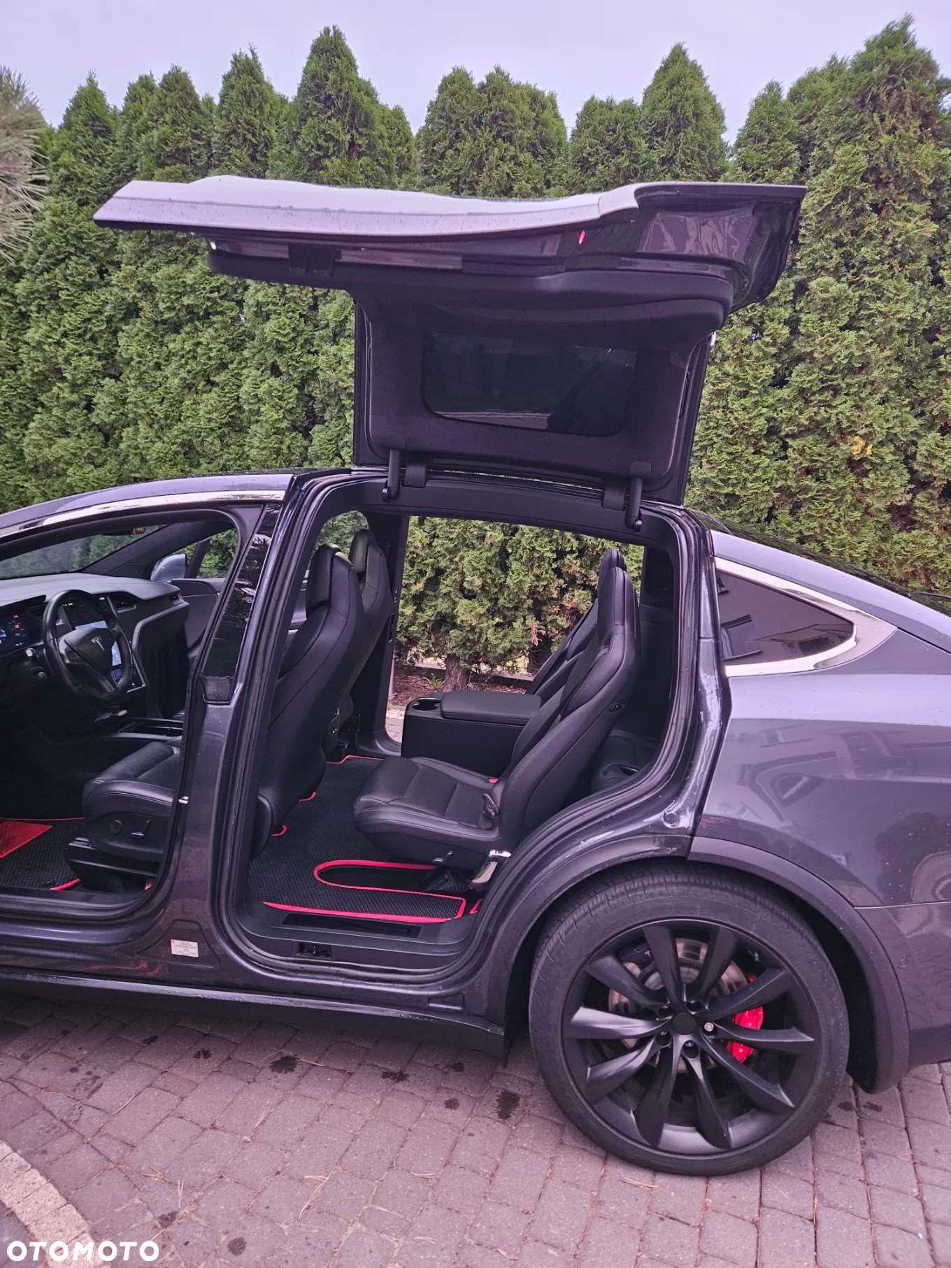 Tesla Model X P 100 D - 15