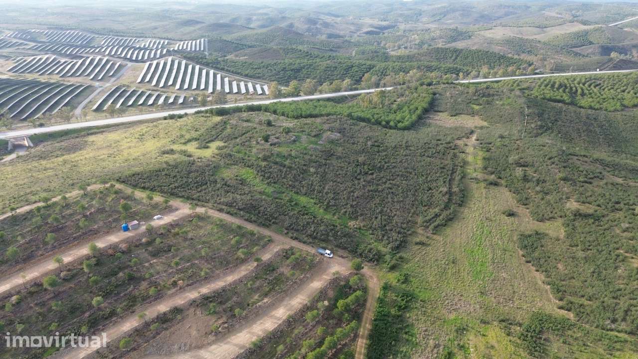 Terreno Rústico  Venda em Alcoutim e Pereiro,Alcoutim - Grande imagem: 4/49