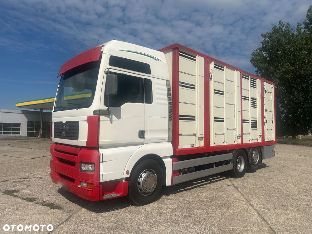 MAN TGA 26.460  DO ZYWCA  3 POZIOMY - 2