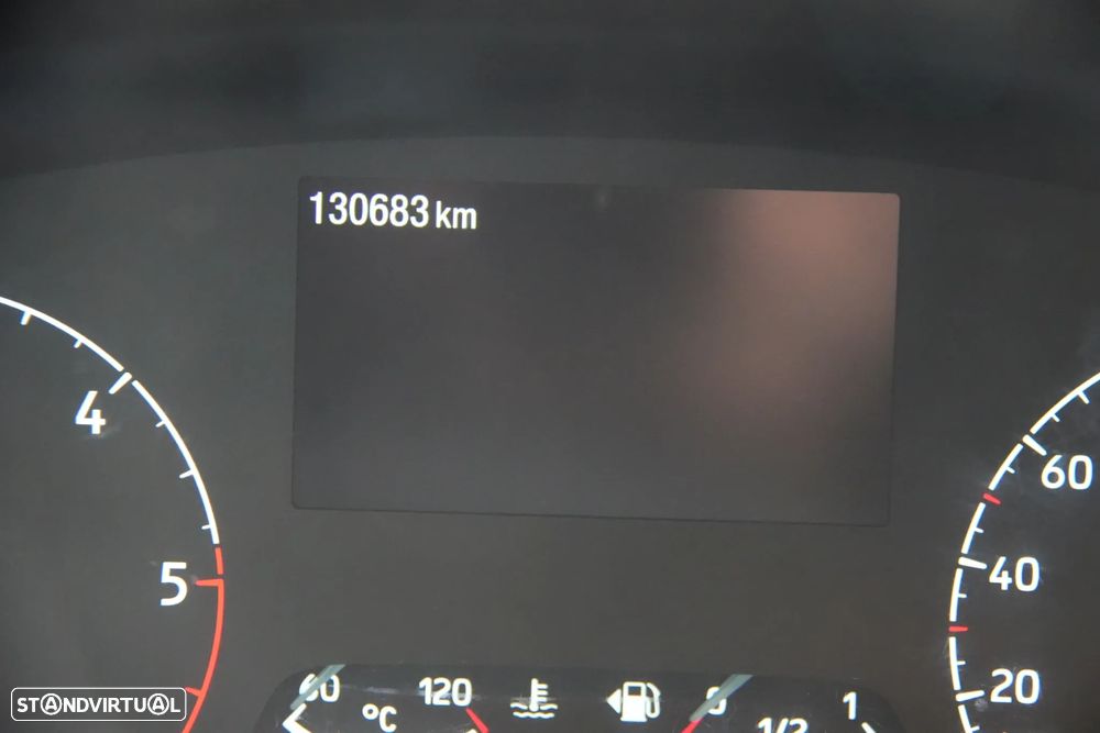 Ford Transit 2.0EcoBlue 130cv - 15