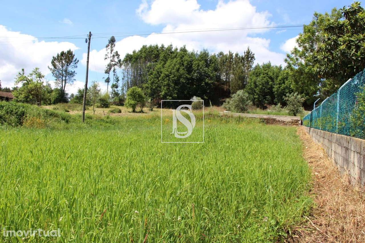 Terreno para construção em Gândara - Grande imagem: 2/10