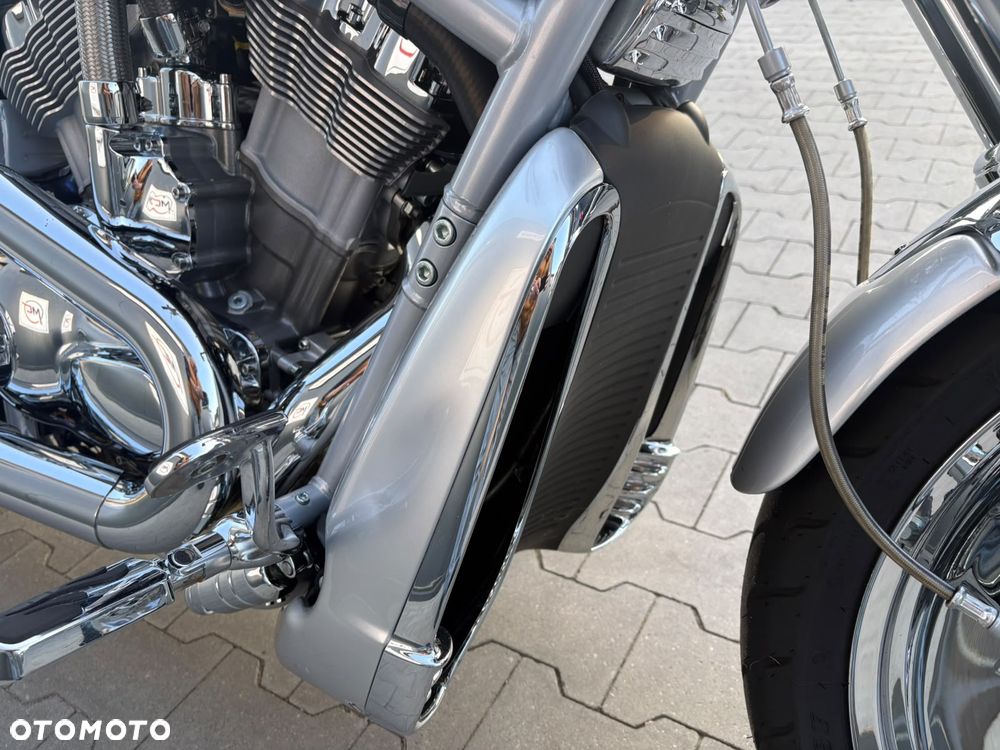 Harley-Davidson Softail V-Rod - 18
