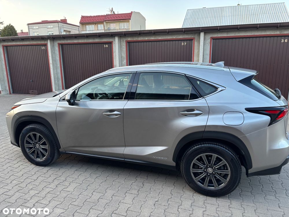 Lexus NX - 16