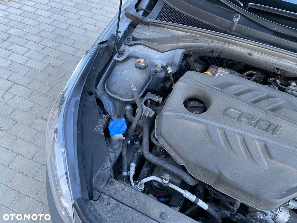 Kia Ceed 1.6 CRDi mHEV M - 25