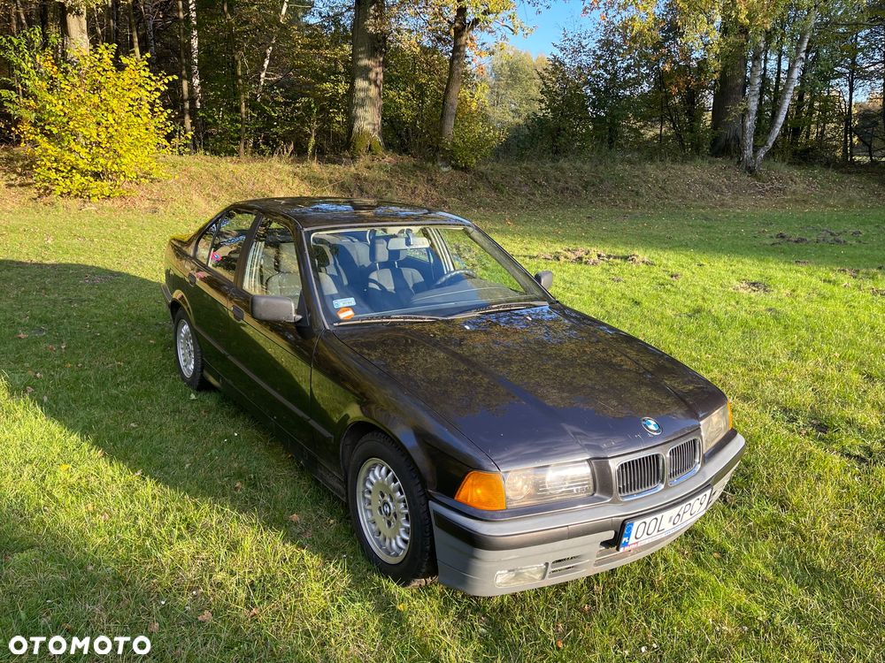 BMW Seria 3 318i - 2