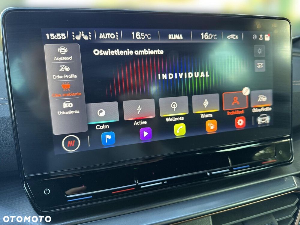 Cupra Formentor 2.0 TSI 4Drive DSG - 33