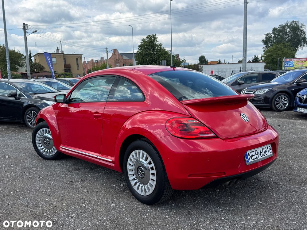 Volkswagen Beetle - 12