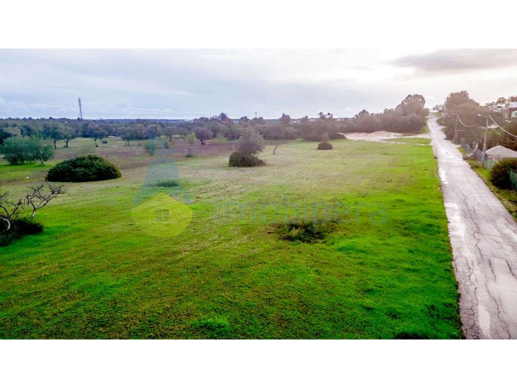 Terreno rústico em Boliqueime com frente para a N125 - Grande imagem: 2/2
