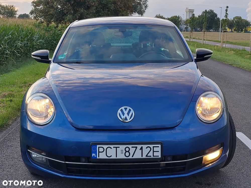 Volkswagen Beetle - 3