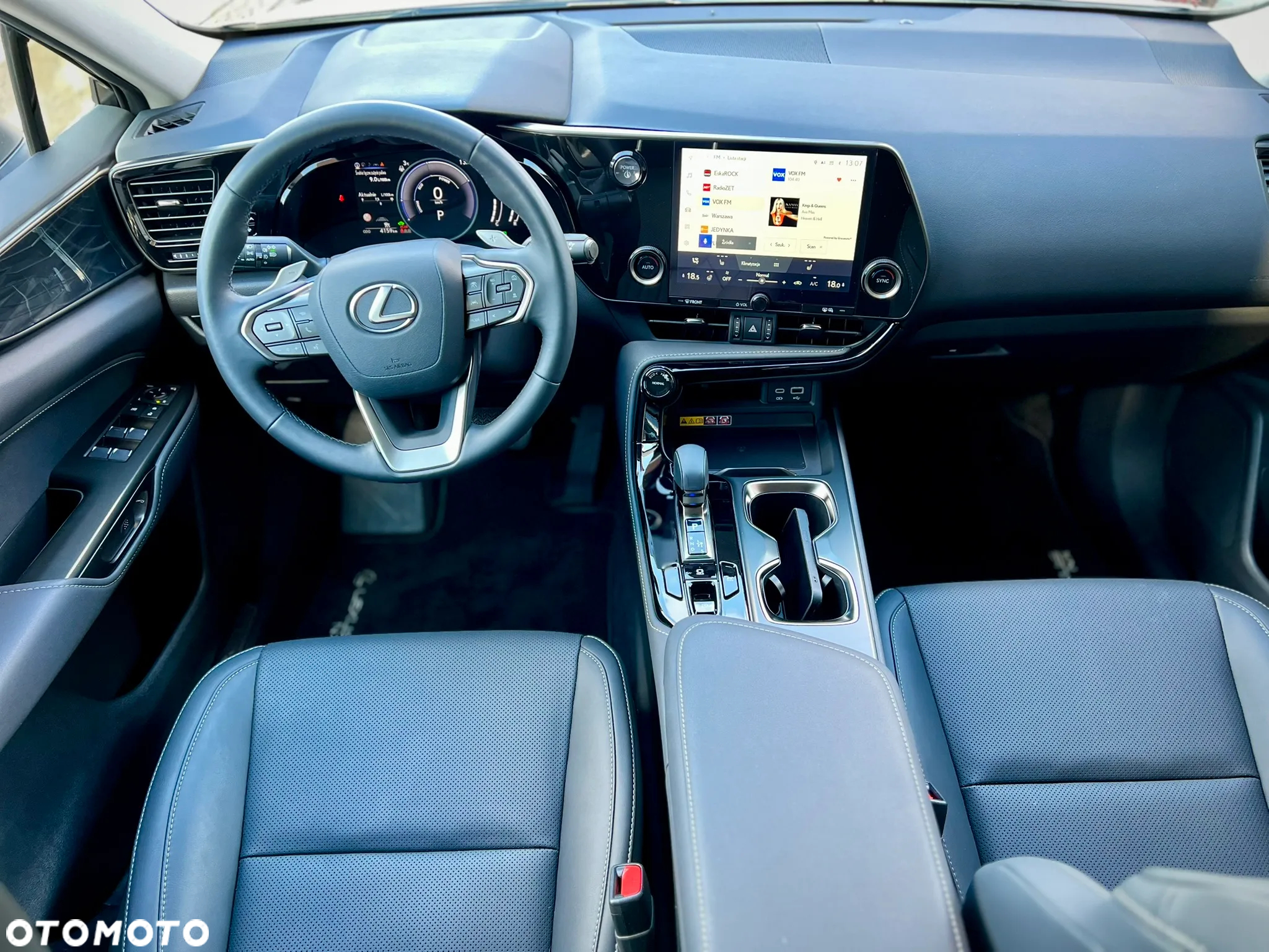 Lexus NX - 10