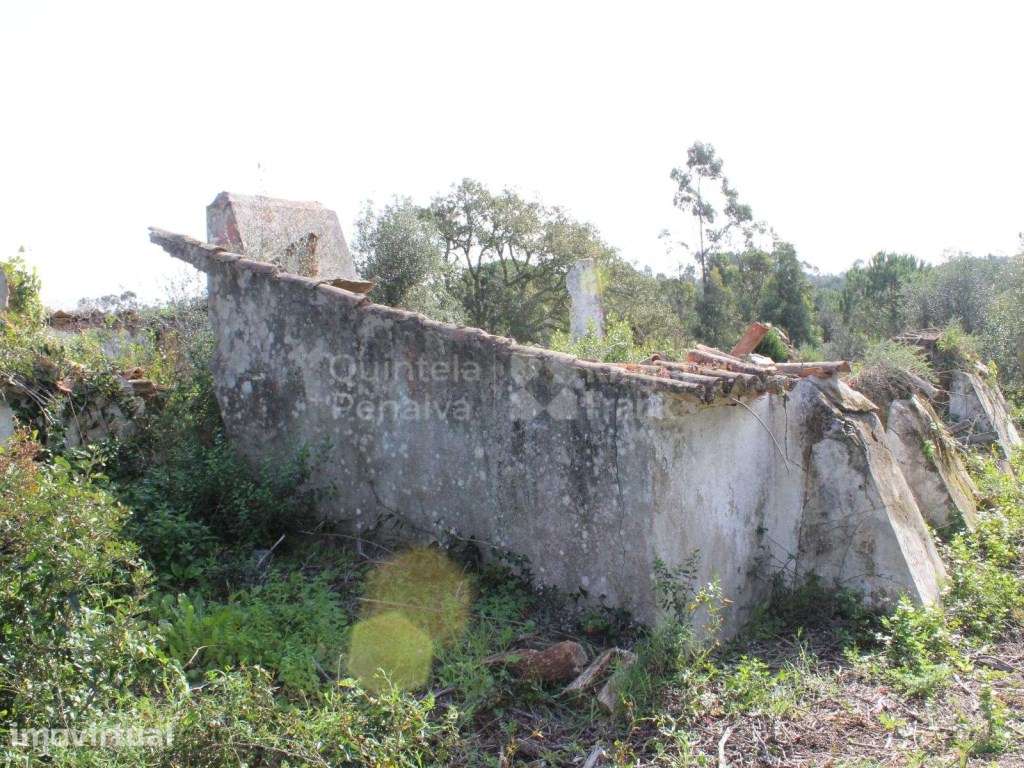 Terreno com 3,9 hectares e projecto aprovado em Melides, Setúbal - Grande imagem: 2/39