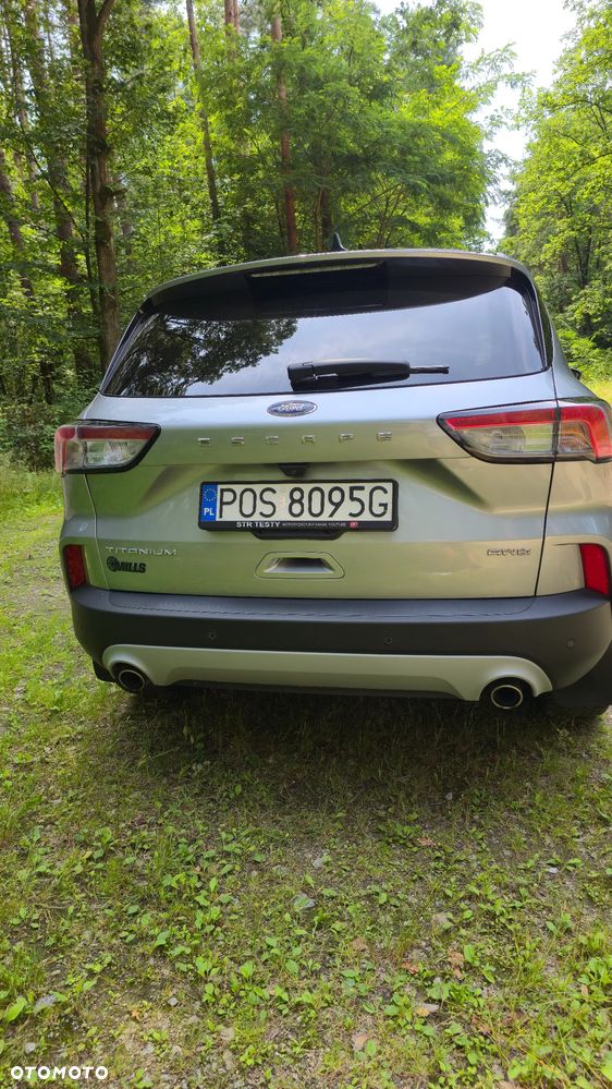 Ford Escape - 7