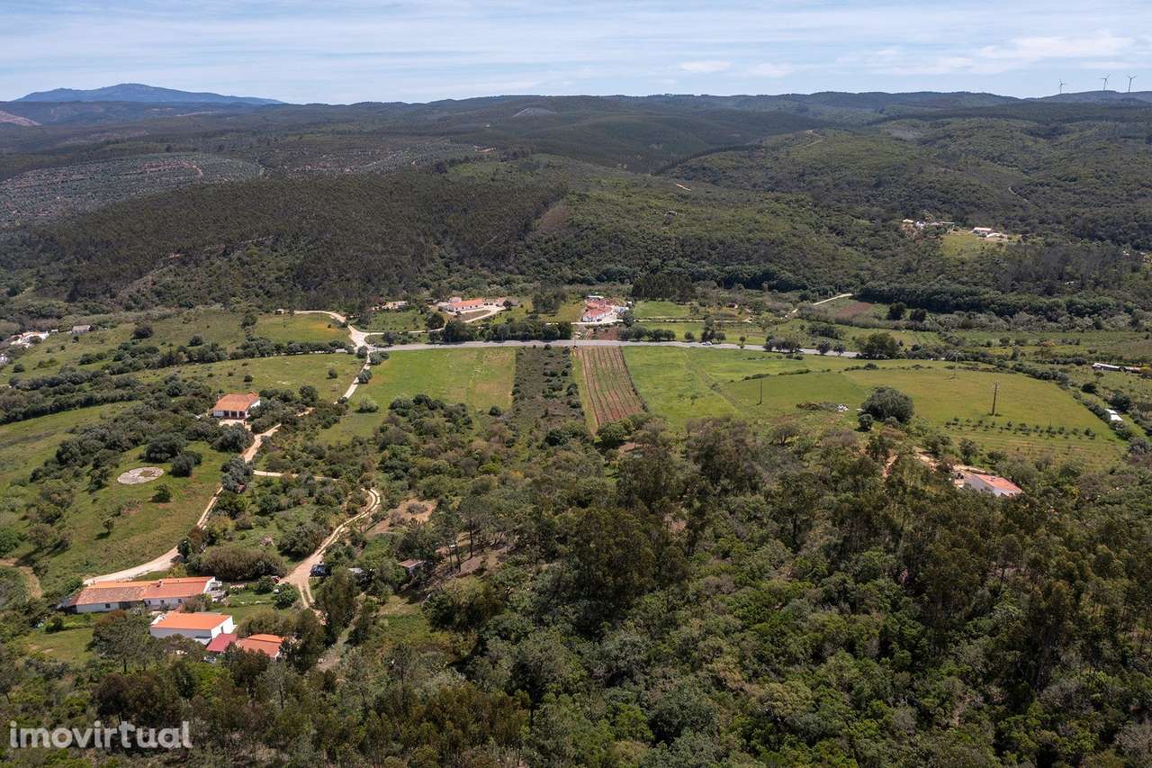 TERRENO RÚSTICO COM VINHA, ALFAMBRAS, ALJEZUR - Grande imagem: 5/8