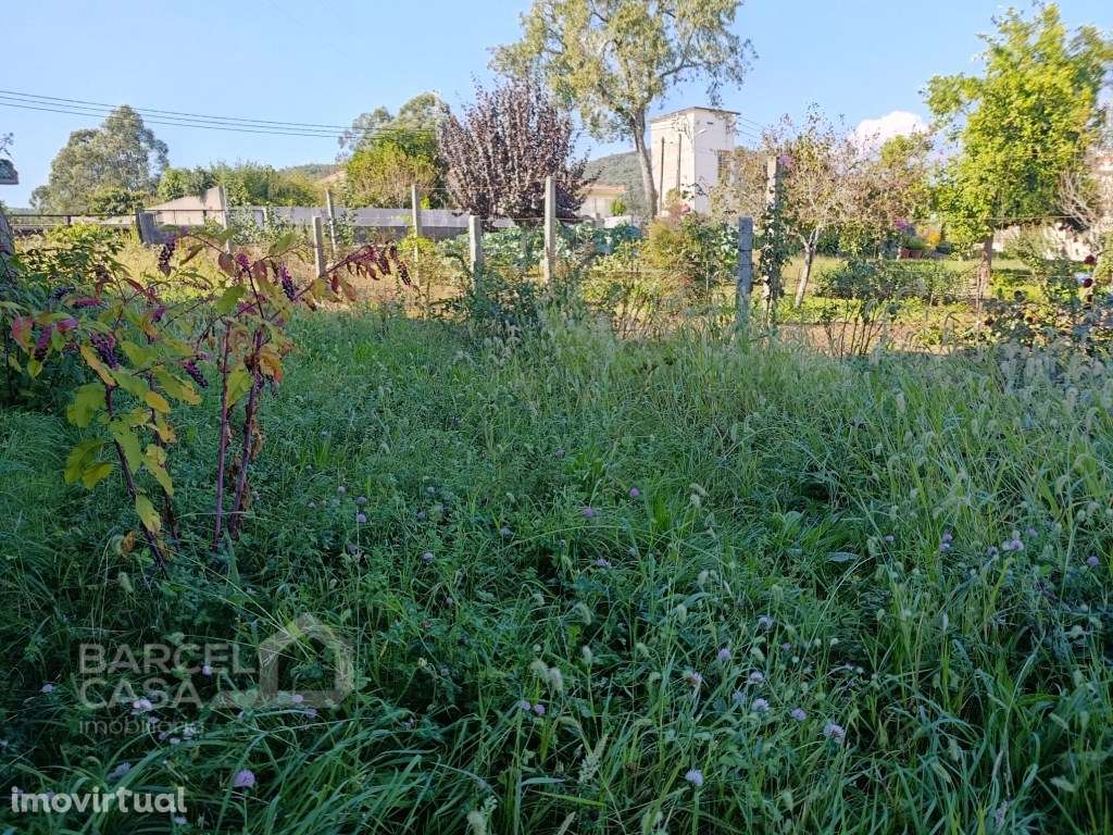 Terreno de construção na Lama - Barcelos - Grande imagem: 5/5