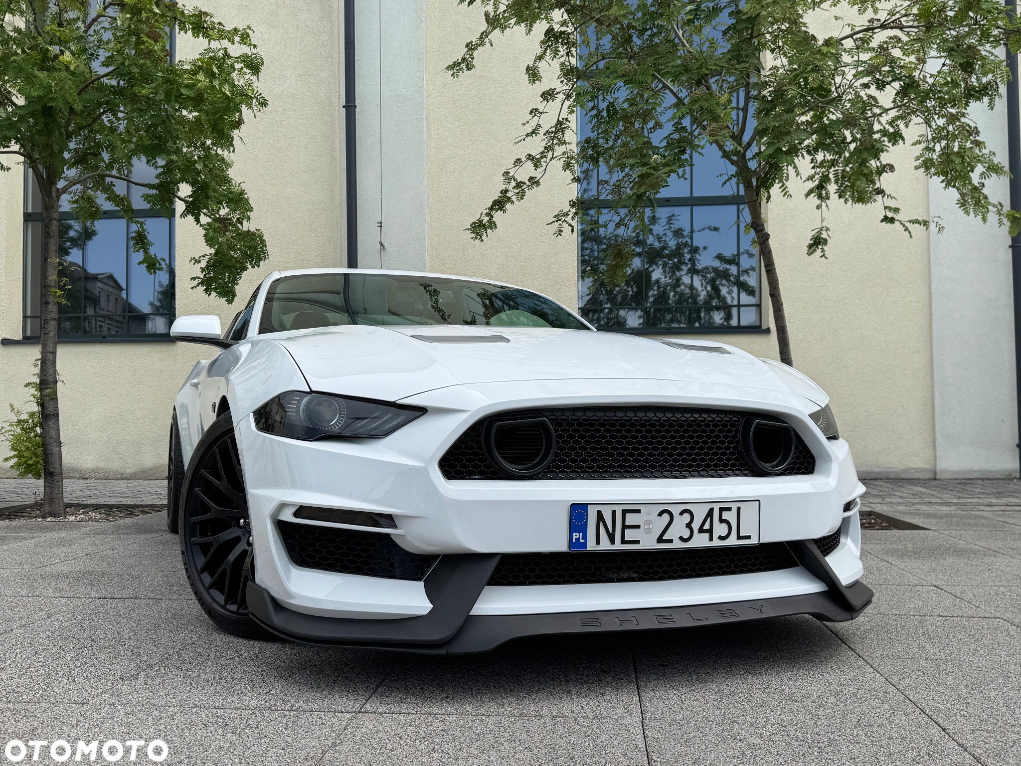 Ford Mustang 5.0 V8 GT - 31