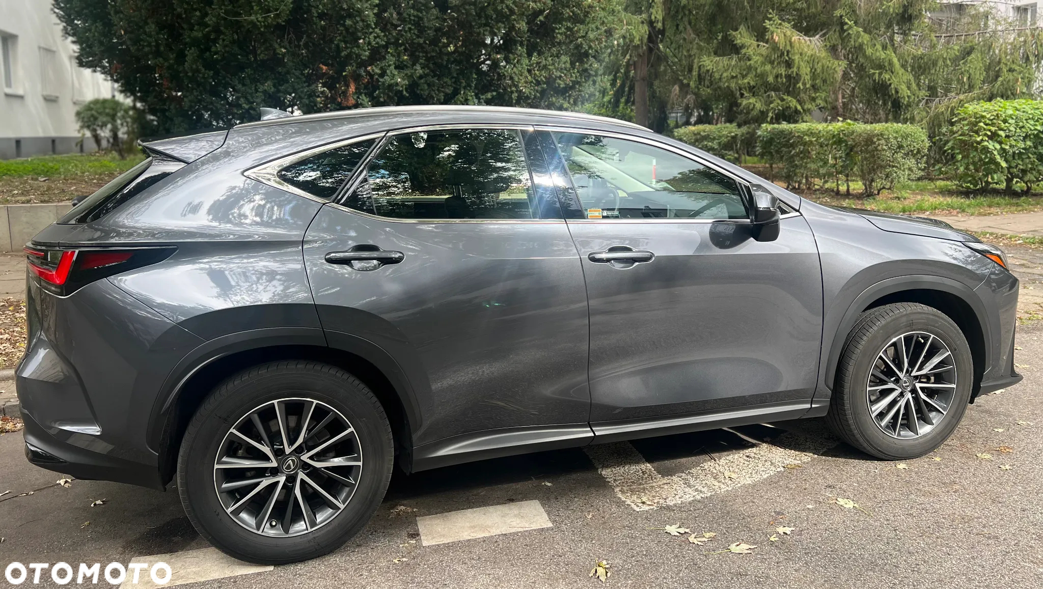 Lexus NX 350h Business AWD - 4